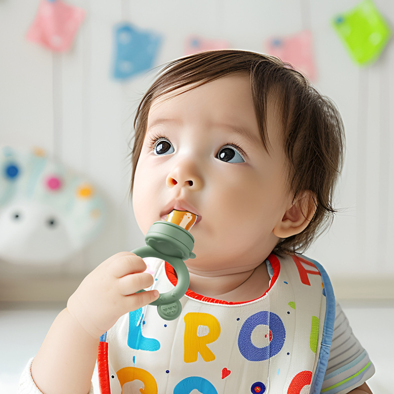 Baby Pacifier Fruit Feeder Wit - Baby Food Ingredients 评论和价格