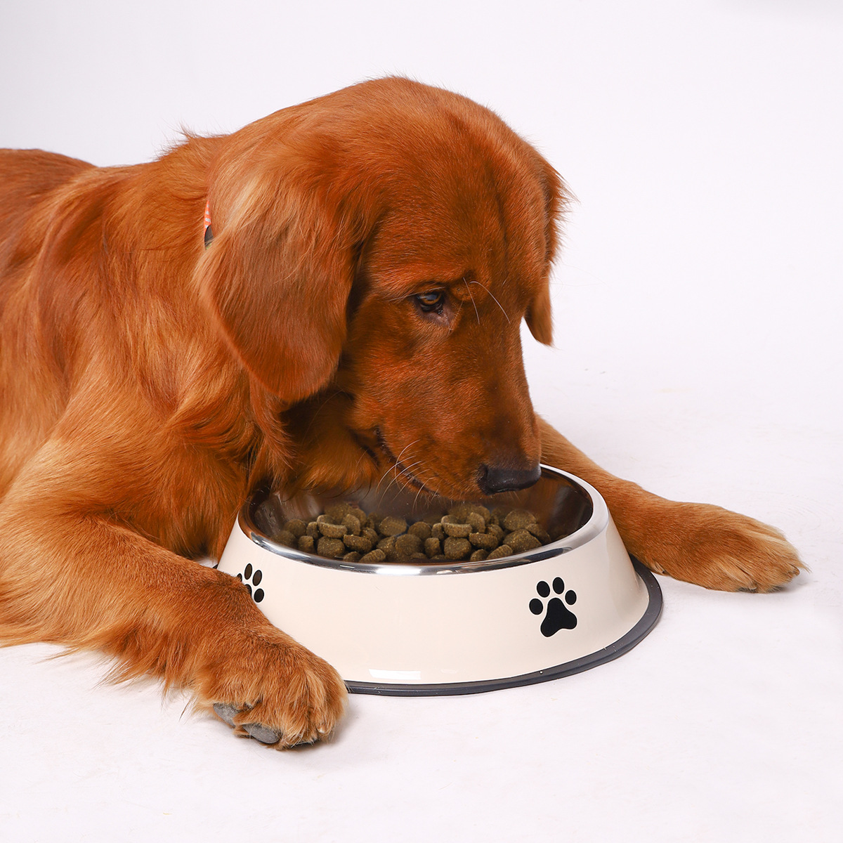 Stainless Steel Pet Bowl Cat B - Baby Food Cat 评论和价格